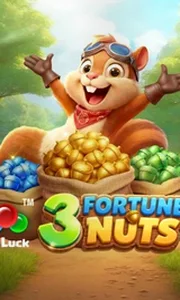 3 Fortune Nuts